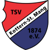 tiny away badge icon