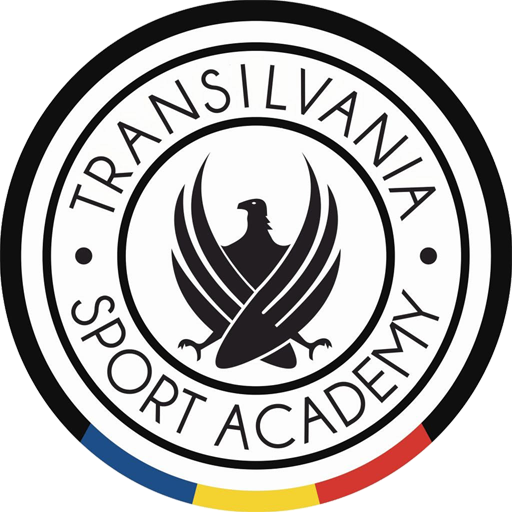 Team Badge icon