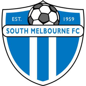 Team Badge
