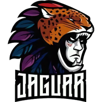 Former team badge icon