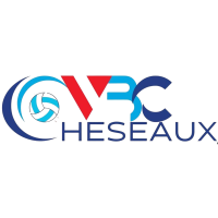 Former team badge icon