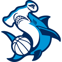 Team Badge