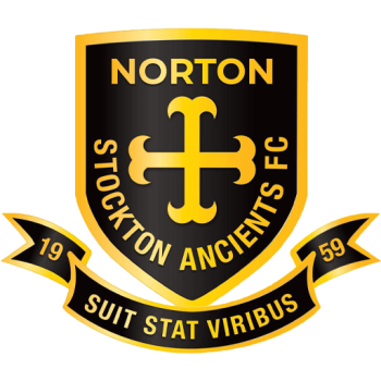 Team Badge