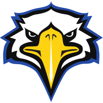 Team Badge