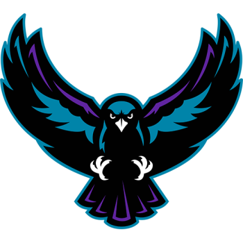 home team badge