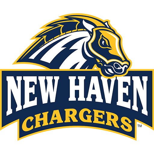 Team Badge icon