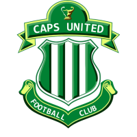 Team Badge icon