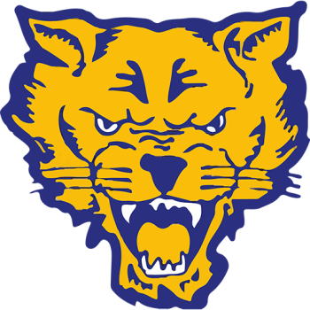 home team badge