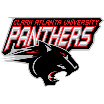 Team Badge