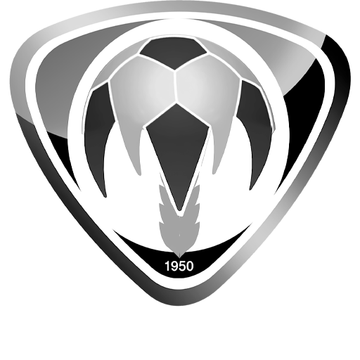 Team Badge icon