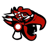 Team Badge