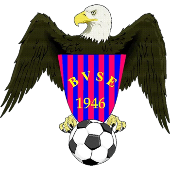 Team Badge