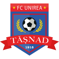 Team Badge