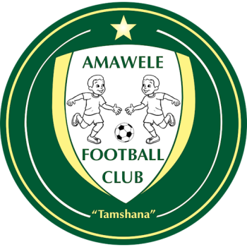 Team Badge