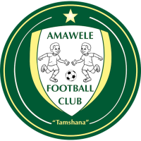 Team Badge