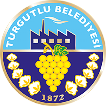 Team Badge