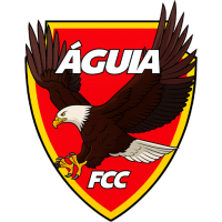 Team Badge