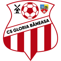 Team Badge