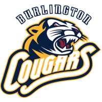 Former team badge icon