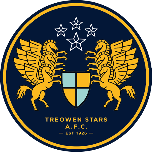 Team Badge icon