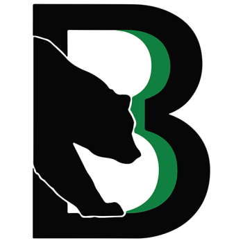 team badge