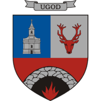 Team Badge icon