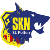 tiny home badge icon