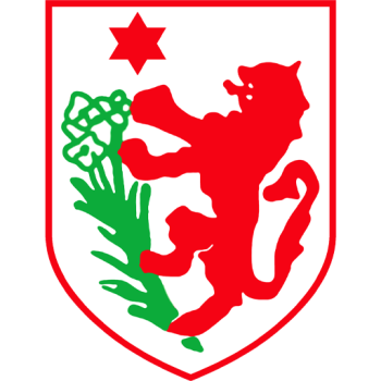 away team icon