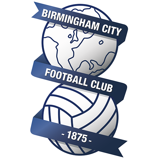 Birmingham Logo Image