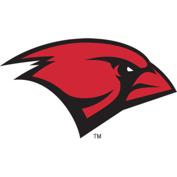 Team Badge