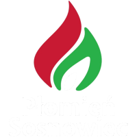 Former team badge icon