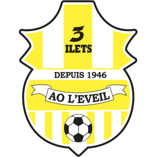 Team Badge icon
