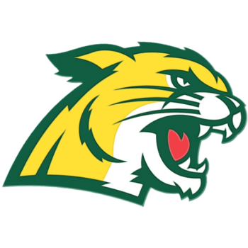 away team icon