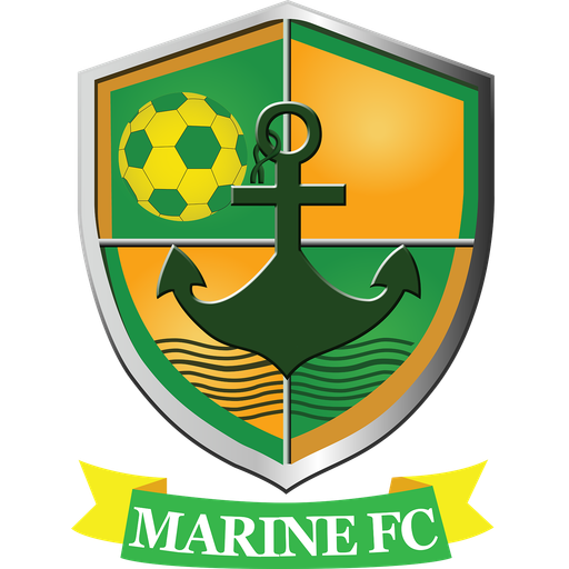 Team Badge icon