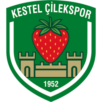 Team Badge
