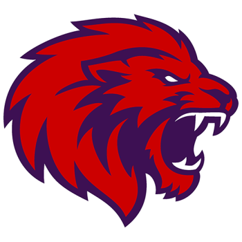 Team Badge