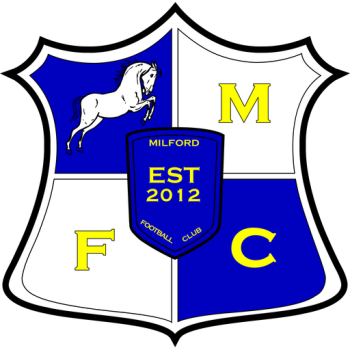 team badge
