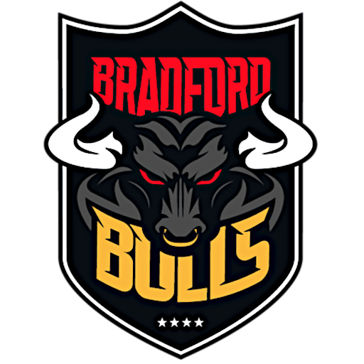 Team Badge icon