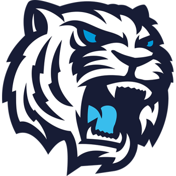 away team icon