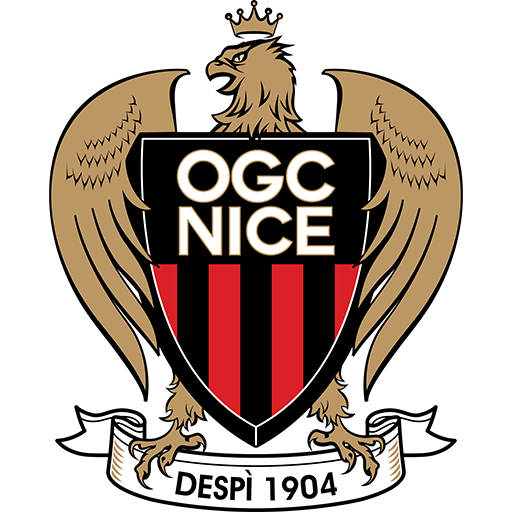 Nice Logo Image