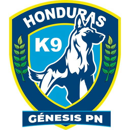 Team Badge icon