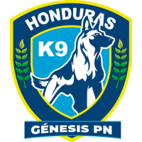 Team Badge