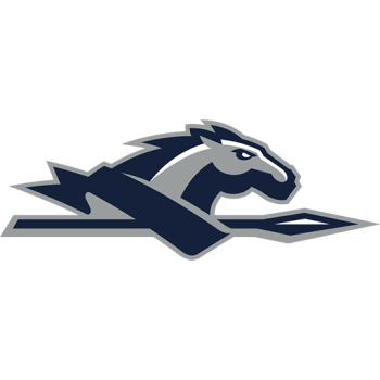 Team Badge