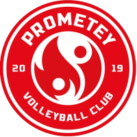Former team badge icon
