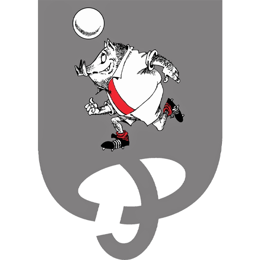 Team Badge icon