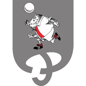 home team badge