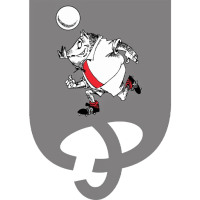 Team Badge