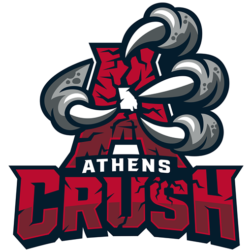 Team Badge icon