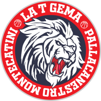 team badge