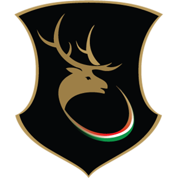 Team Badge